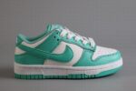 Dunk SB Low Kids White Green