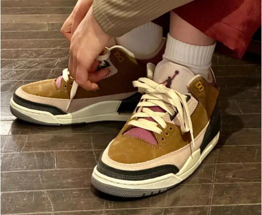 Retro Air Jordan 3 Palomino layout