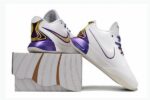 Zoom LeBron 21 White Purple Low Low Men’s