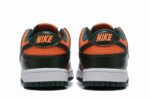 Dunk SB Black Orange Green— (1)