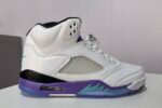 Retro Air Jordan 5 Grape Men's