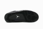 Air Jordan 4 Black Cat 2020