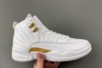 Air Jordan 12 Phantom Retro Men's