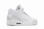 Retro Air Jordan 3 Pure Money