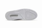 Retro Air Jordan 3 Pure Money