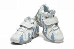 Air DT Max 96 White Armory Blue