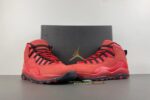 Steve Wiebe x Air Jordan 10 HOH Men’s