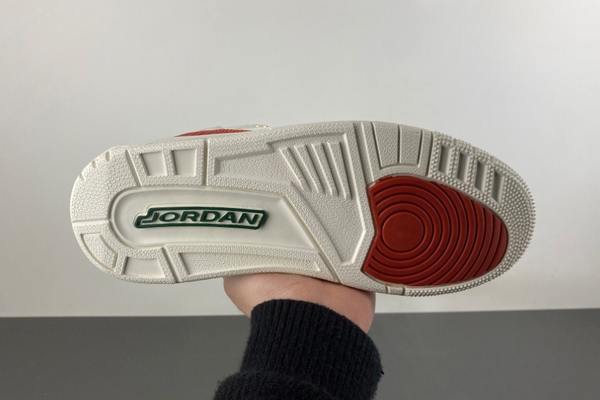 Air Jordan 3 El Vuelo--- (6)