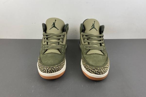 Air Jordan 3 Family Affair--- (3)