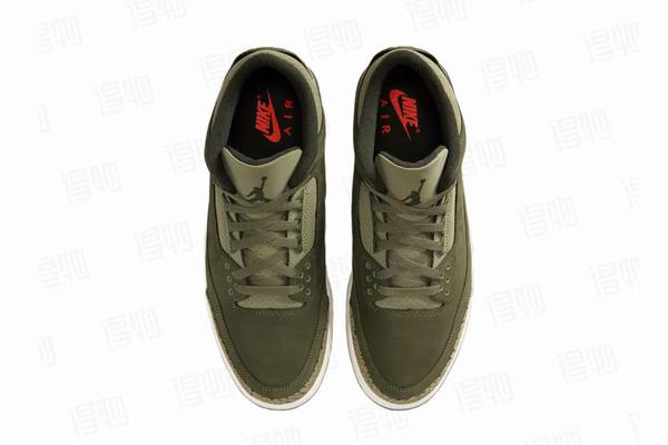 Air Jordan 3 Family Affair--- (3)