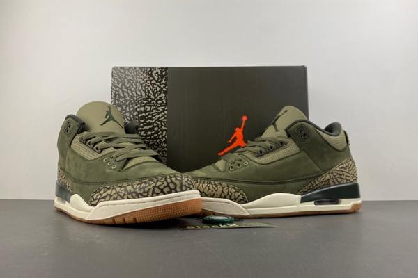 Air Jordan 3 Family Affair--- (4)