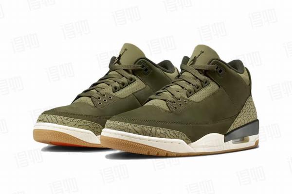 Air Jordan 3 Family Affair--- (4)