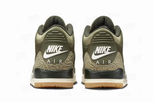 Air Jordan 3 Family Affair--- (5)