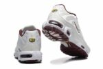 Air Max Plus TN Grey Wine Red Men’s