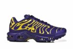 Air Max Plus TN Purple Yellow Men's