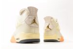 Air Jordan 4 Birds Of Paradise— (1)