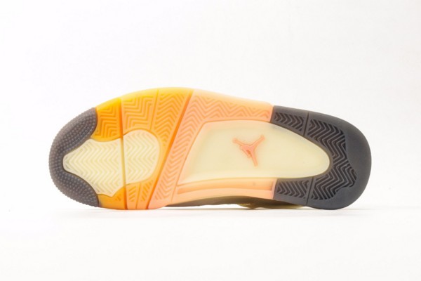 Air Jordan 4 Birds Of Paradise--- (6)