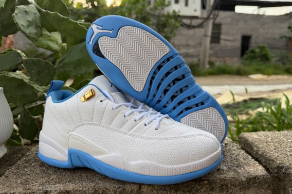Air Jordan 12 UNC Low--- (3)